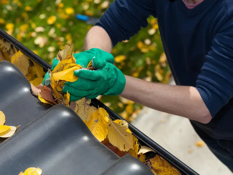 APS Window and Gutter and Pressure Washing | Concord NC   APS Gutter Cleaning technician in Concord NC removing fall leaves by hand from a residential gutter to prevent clogs and water damage
