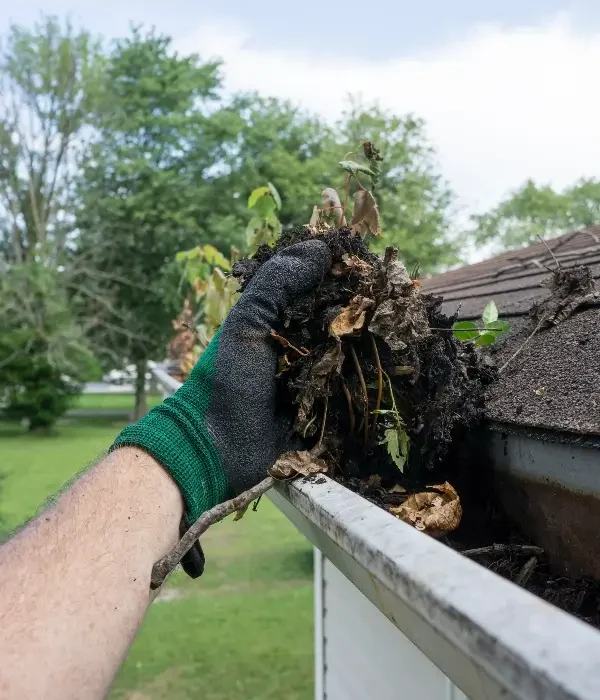 Hand wearing a green glove removing leaves and debris from a residential gutter, emphasizing professional gutter cleaning services in Indian Trail, NC.