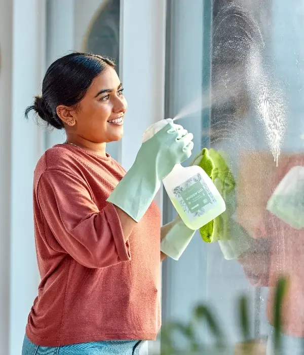 aps window cleaning in sherrills ford nc